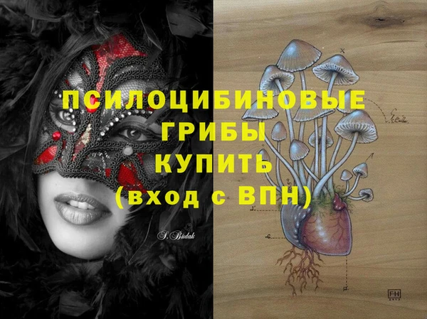ALPHA-PVP Алексеевка