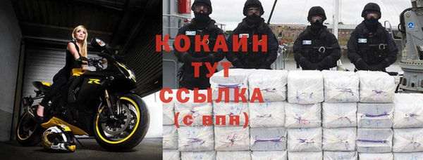 соль ск Алексин