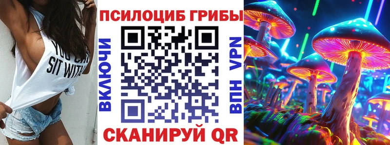 где продают   Оханск  Галлюциногенные грибы Psilocybe 